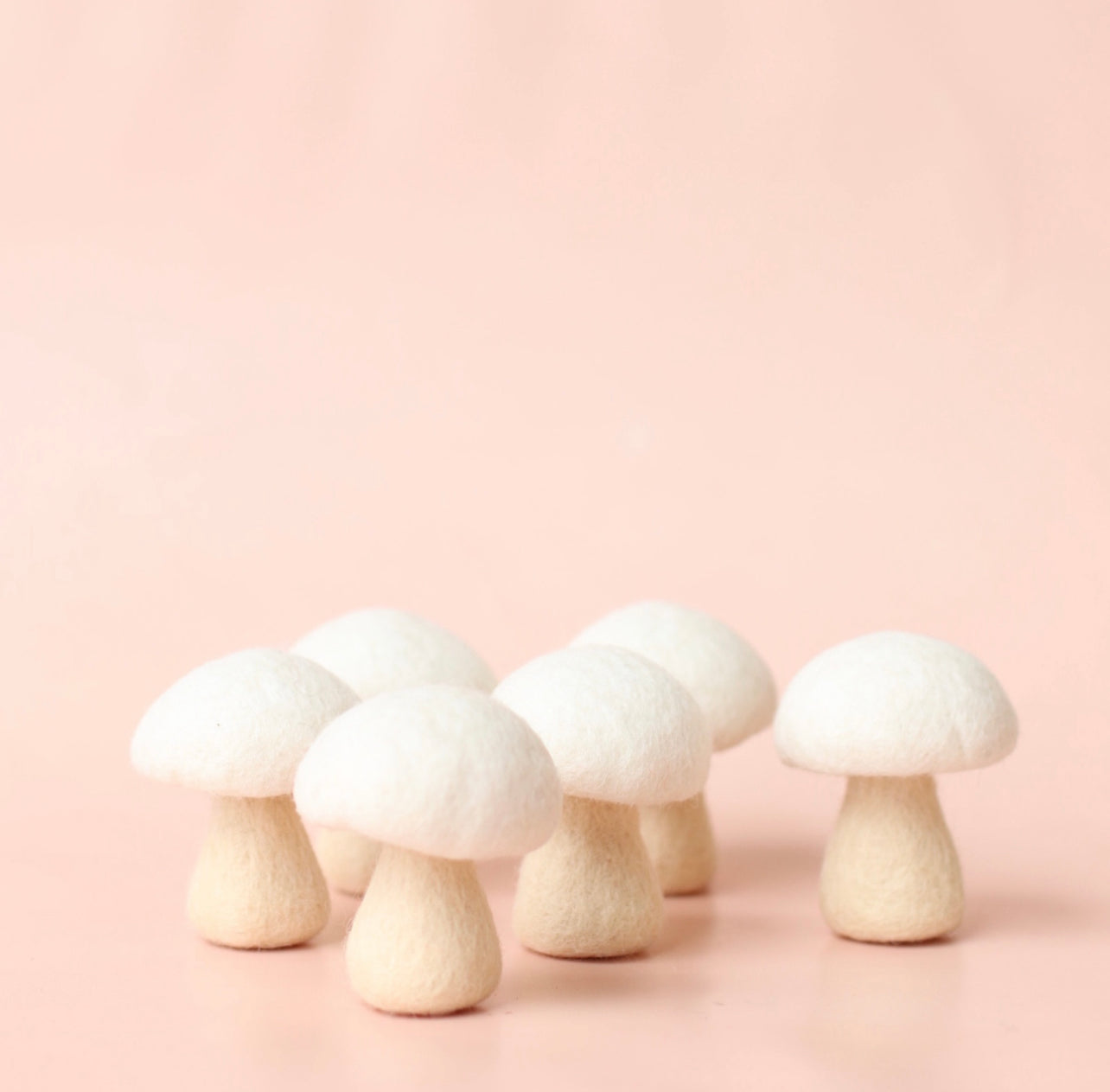 *PRE ORDER* Button Mushrooms - 6 pce