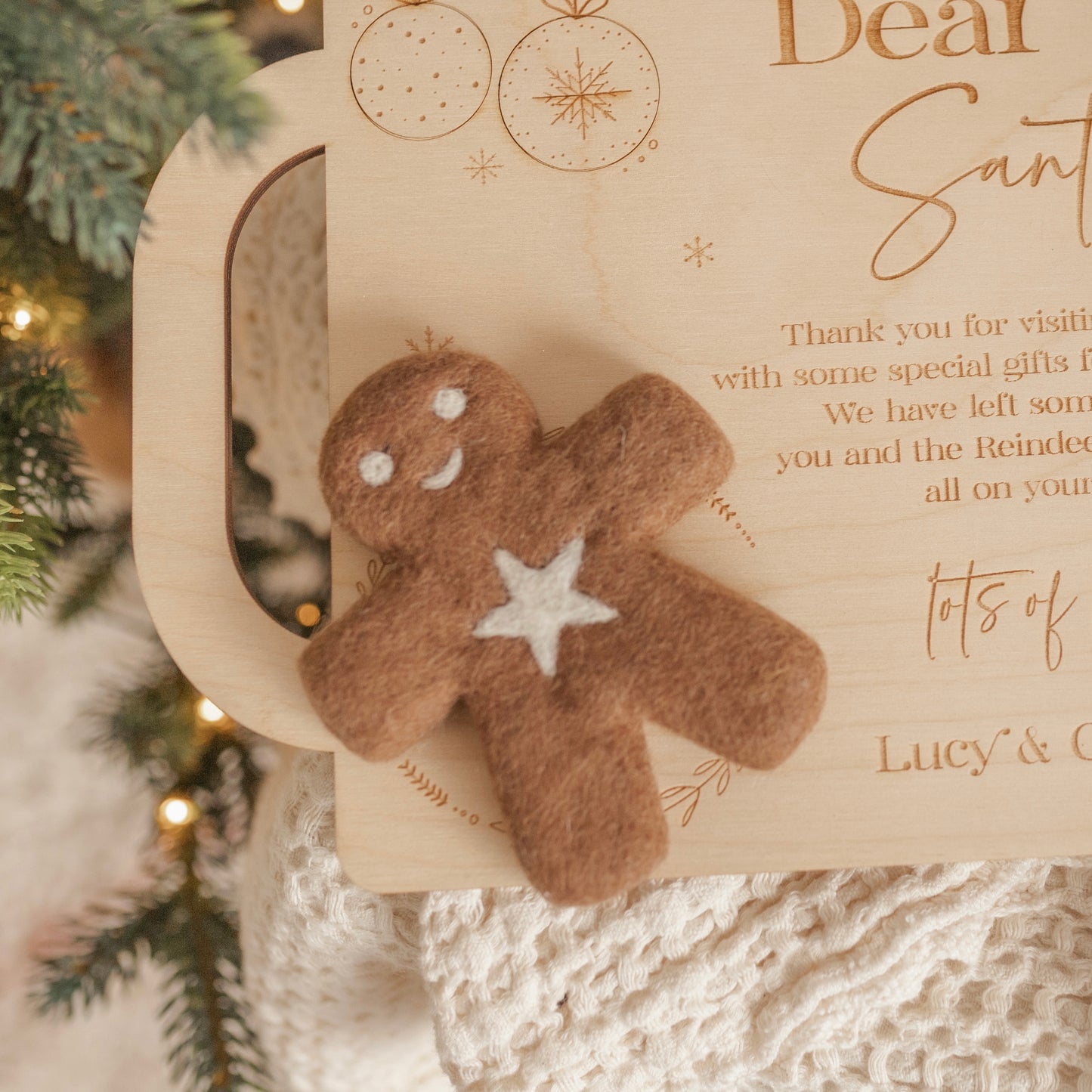 Mr Spicy - the gingerbread kid