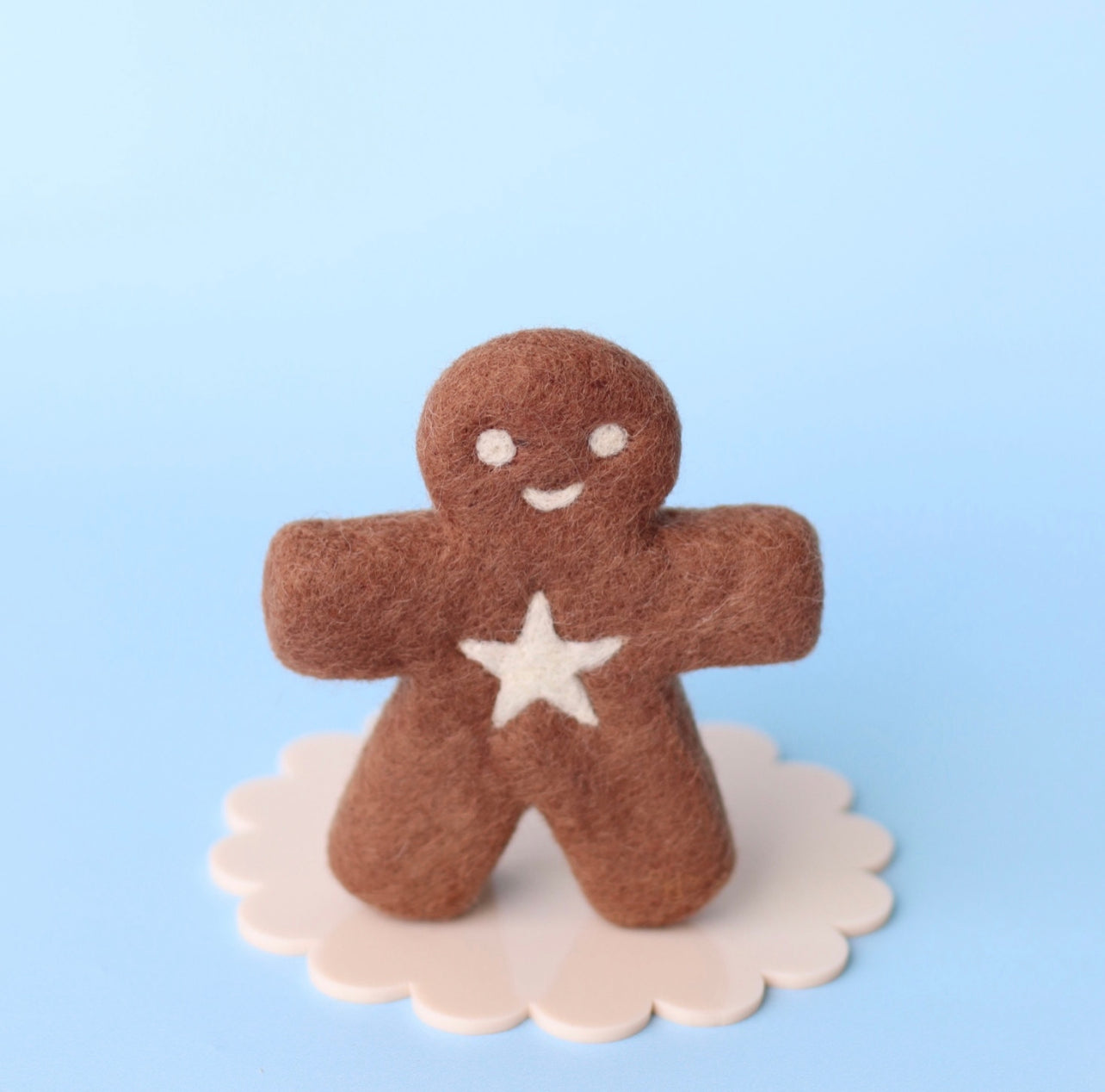 Mr Spicy - the gingerbread kid